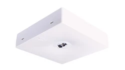 Oprawa awaryjna natynkowa STARLET QUAD SC 150 NM 1H MT / 92901