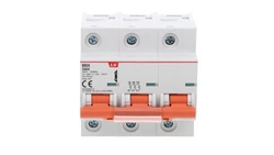 Wyłącznik nadprądowy 1,5 modułu 3P D 80A 10KA BKH 3P D80A 06110350R0