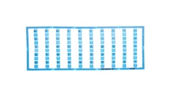 Oznaczniki Mini-WSB 1x 1-50 niebieski 264-900/000-006