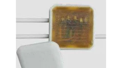 Puszka przelotowo-odgałęźna z żywicą EG, ze złączkami, Universal-Box/EG, 420085