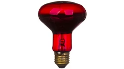 Promiennik podczerwieni E27 75W R80RB do terrarium PRO-1466